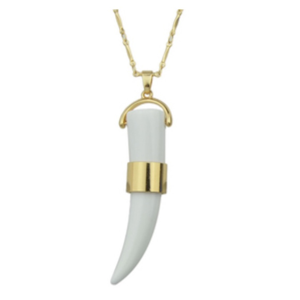 Tiger Tooth Necklace